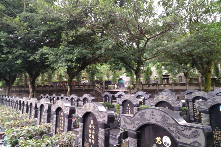 墓区侧面